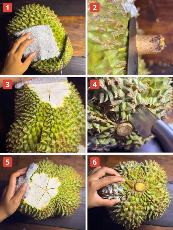 Step-by-step collage showing how to cut durian open using a knife and gloves, starting from slicing into the seams to opening the pods.